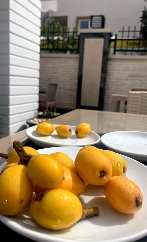 Miyas Luxury Hotel Kemer Exteriér fotografie
